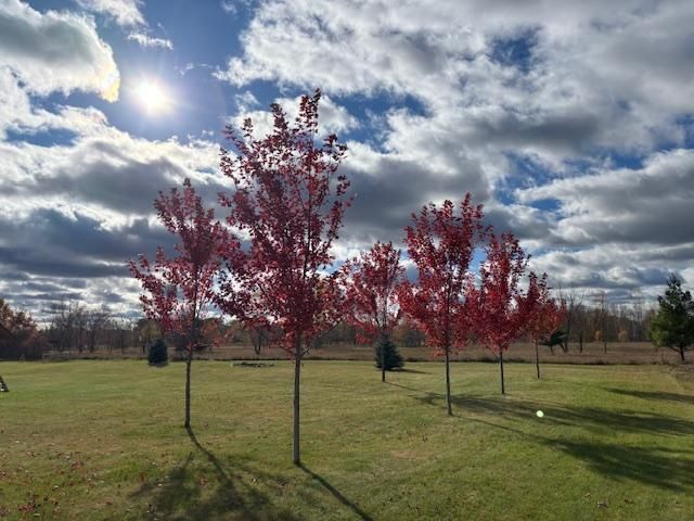 1067 Jessie Street, Saint Paul, MN 55130