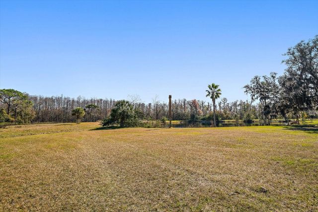 18419 TYLER ROAD, Odessa, FL 33556