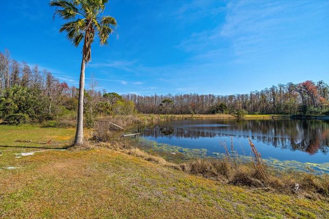 18419 TYLER ROAD, Odessa, FL 33556