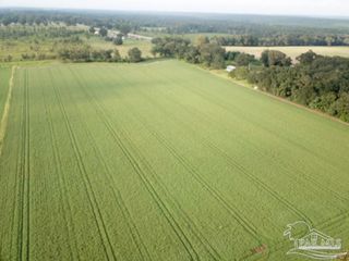8+ acres N Hwy 87, Milton, FL 32570