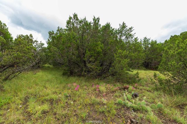 8219 Fm 89, Tuscola, TX 79562