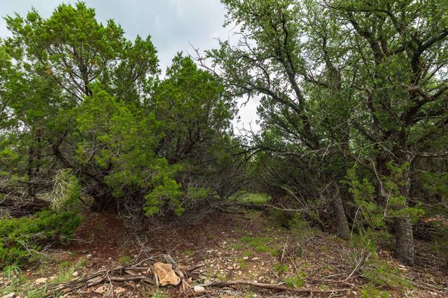 8219 Fm 89, Tuscola, TX 79562