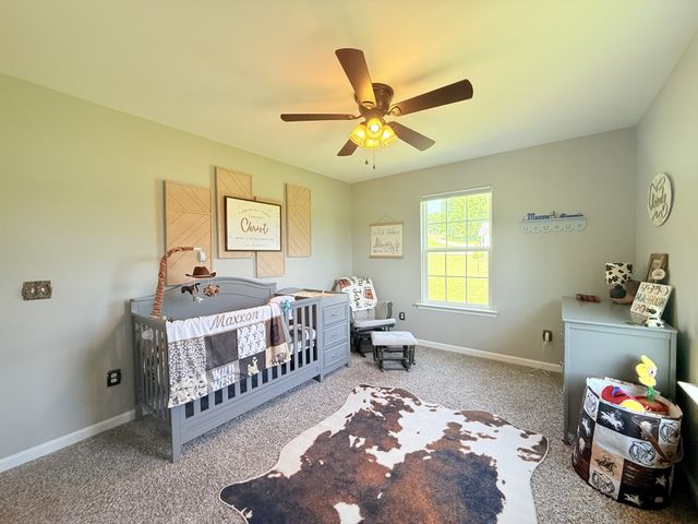 649 Old Harrison Ferry Rd, Mcminnville, TN 37110