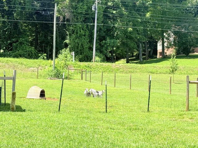 649 Old Harrison Ferry Rd, Mcminnville, TN 37110