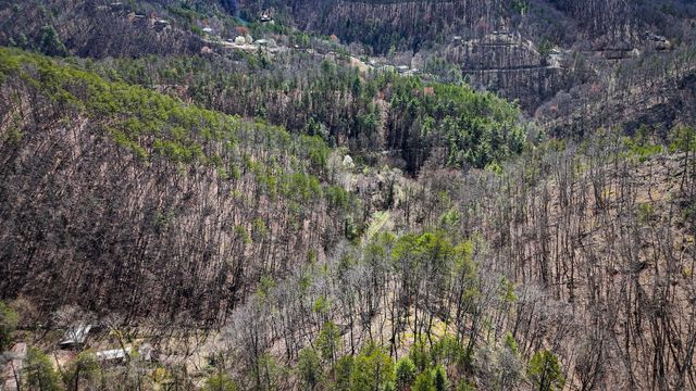 1060 Rayfield Hollow Way, Sevierville, TN 37862