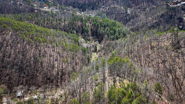 1060 Rayfield Hollow Way, Sevierville, TN 37862