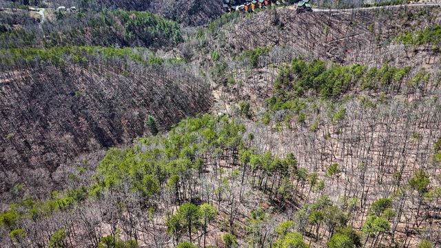 1060 Rayfield Hollow Way, Sevierville, TN 37862
