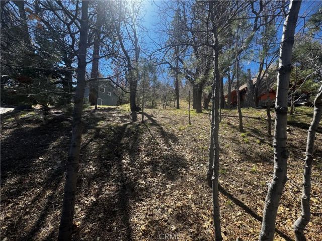 0 Oriole, Wrightwood, CA 92397