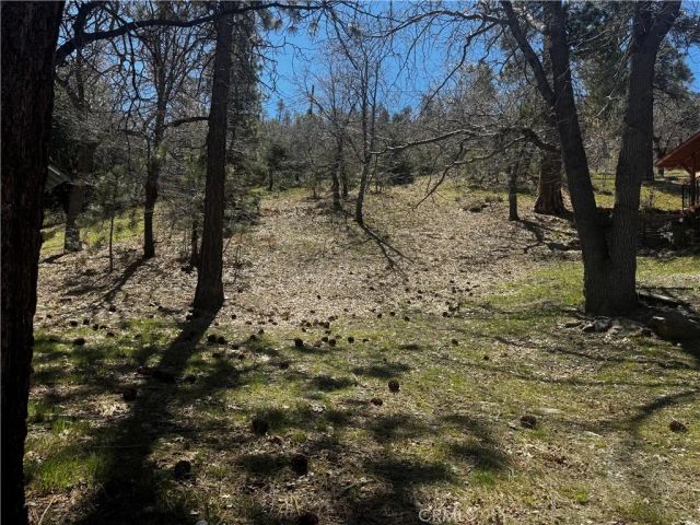 0 Oriole, Wrightwood, CA 92397