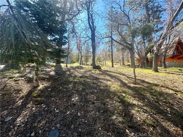 0 Oriole, Wrightwood, CA 92397