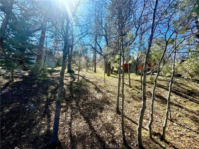 0 Oriole, Wrightwood, CA 92397