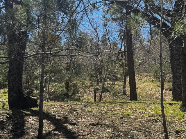 0 Oriole, Wrightwood, CA 92397