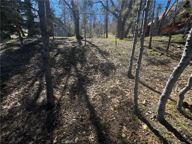 0 Oriole, Wrightwood, CA 92397