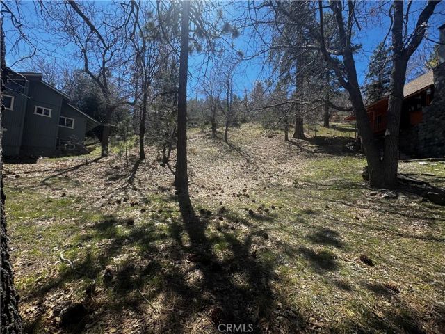 0 Oriole, Wrightwood, CA 92397