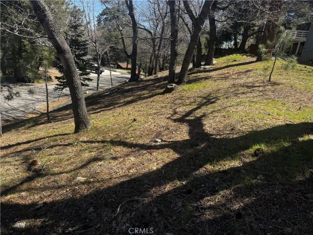 0 Oriole, Wrightwood, CA 92397