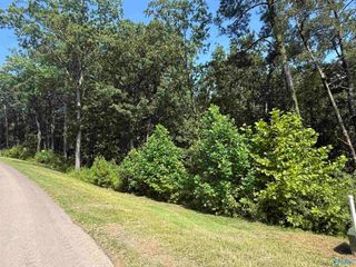 LOT 115 Boathouse Drive, Guntersville, AL 35976
