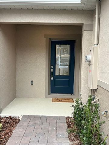 2759 RAINDROP RUN ST,, Clermont, FL 34714