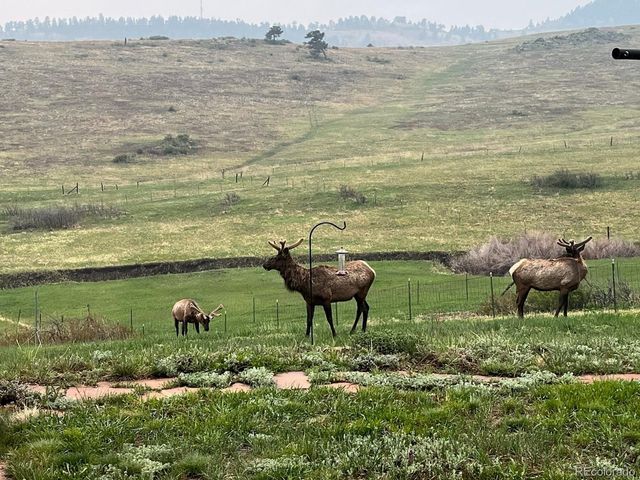 32110 Robinson Hill Rd, Golden, CO 80403