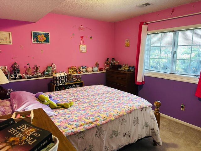39119 Riverside Court, North Branch, MN 55056