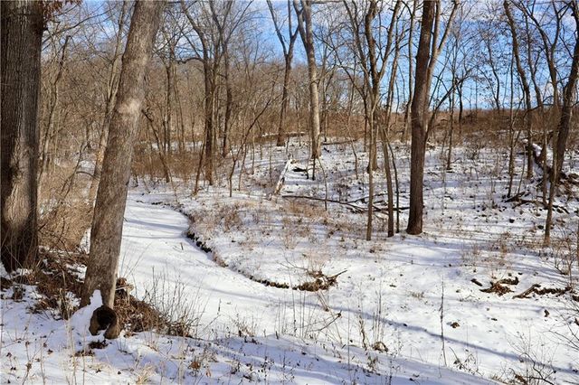 962 NW 445 Road, Centerview, MO 64019