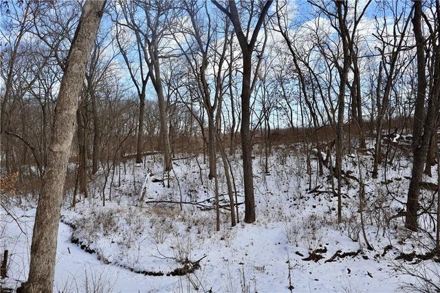 962 NW 445 Road, Centerview, MO 64019