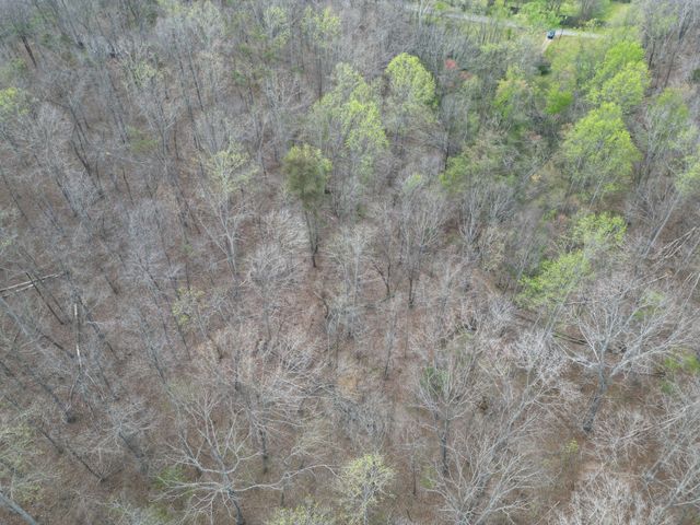 417 Trace Creek Rd, Hohenwald, TN 38462