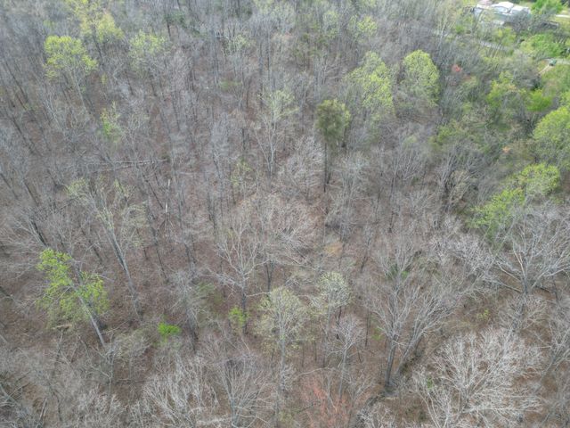 417 Trace Creek Rd, Hohenwald, TN 38462