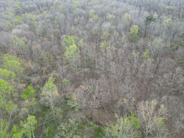 417 Trace Creek Rd, Hohenwald, TN 38462
