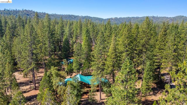 22715 Hells Hollow Rd, Groveland, CA 95321