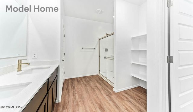 8650 W Soaptree Yucca Place, Marana, AZ 85653