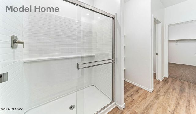 8650 W Soaptree Yucca Place, Marana, AZ 85653