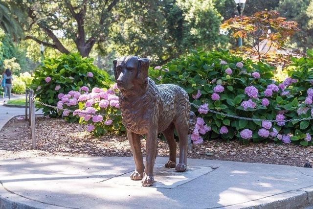 10 9th Avenue 107, San Mateo, CA 94401