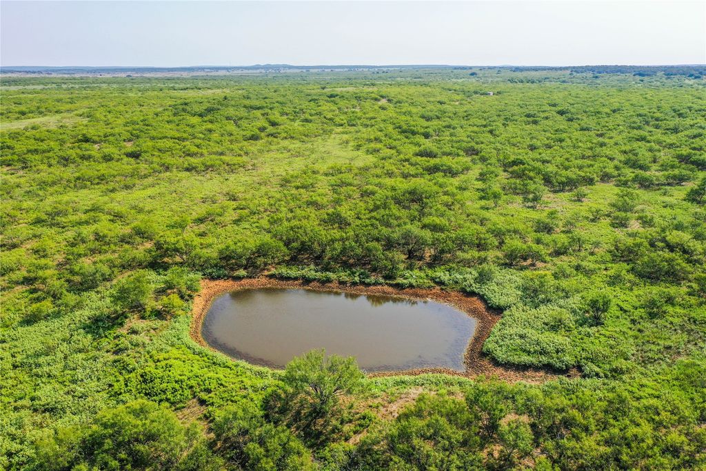 262.71 Acres FM 1191, Jacksboro, TX 76458