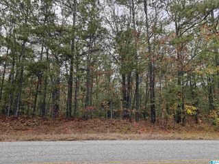 0 COUNTY ROAD 60, Heflin, AL 36264
