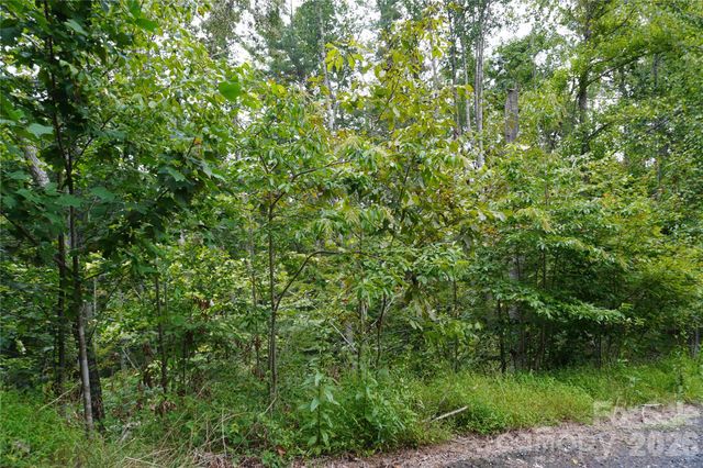 0000 High Peak Drive 16, Burnsville, NC 28740