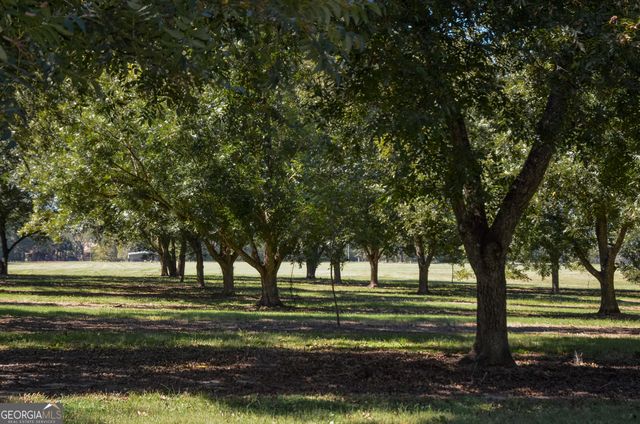 318 Church Street, Parrott, GA 39877