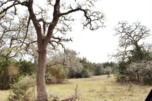 TBD Parcel 10 Lobo Lane, Columbus, TX 78934