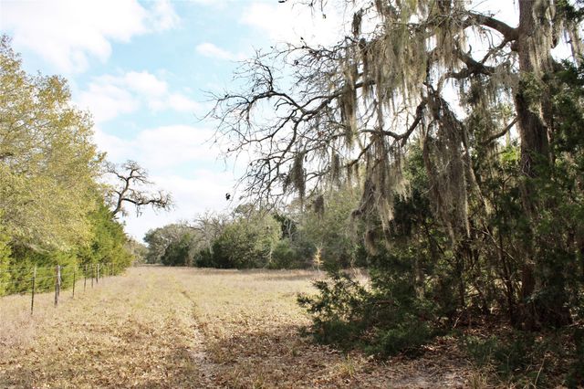 TBD Parcel 10 Lobo Lane, Columbus, TX 78934