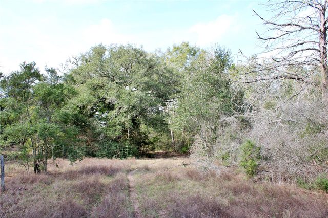 TBD Parcel 10 Lobo Lane, Columbus, TX 78934