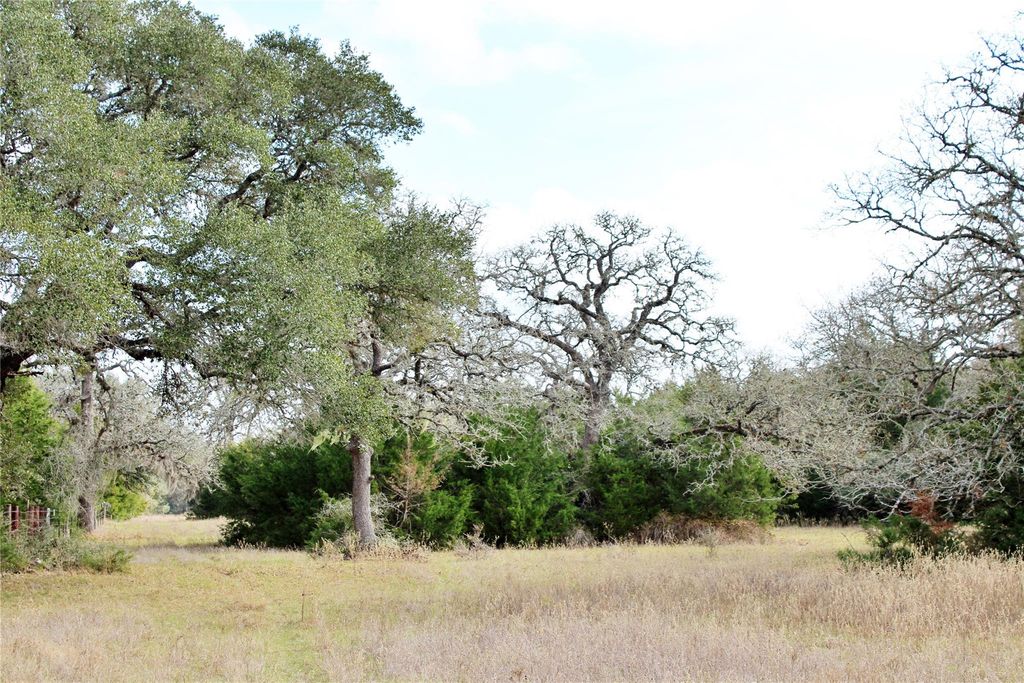 TBD Parcel 10 Lobo Lane, Columbus, TX 78934