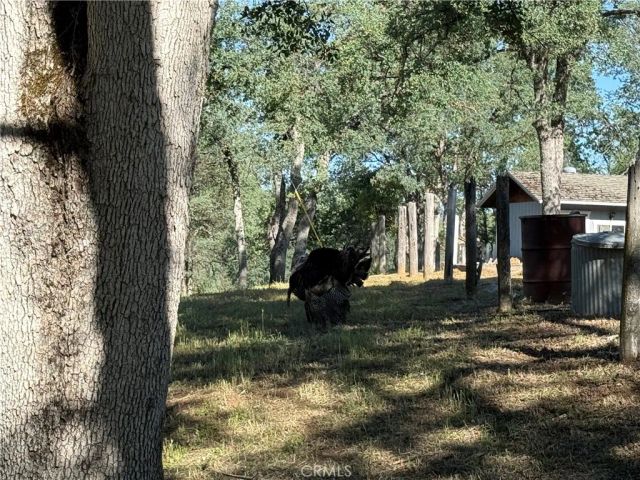 4952 Hidden Springs, Mariposa, CA 95338