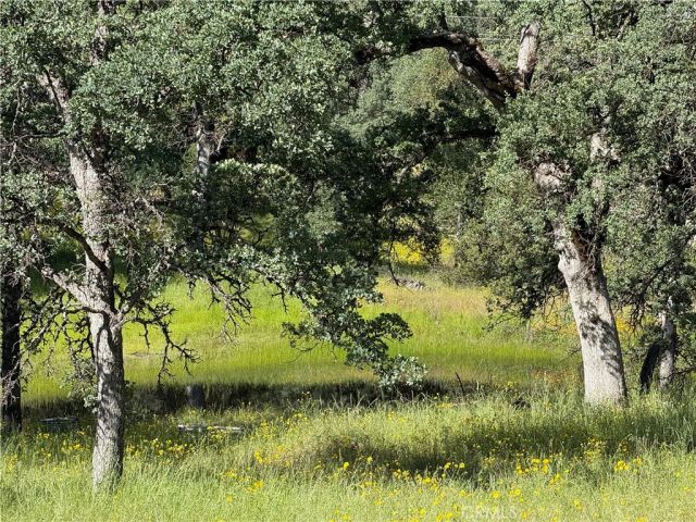 4952 Hidden Springs, Mariposa, CA 95338