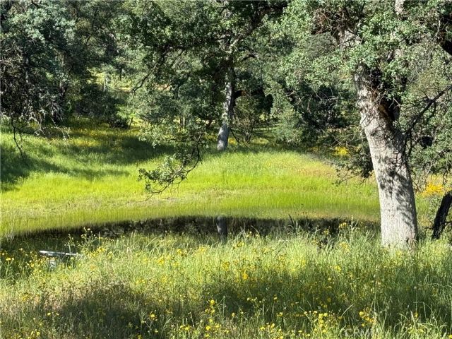 4952 Hidden Springs, Mariposa, CA 95338