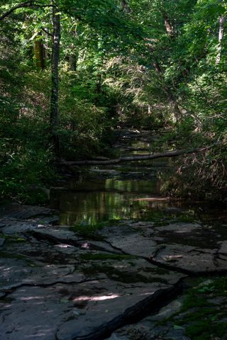 2023 Dr Robertson Rd, Spring Hill, TN 37174