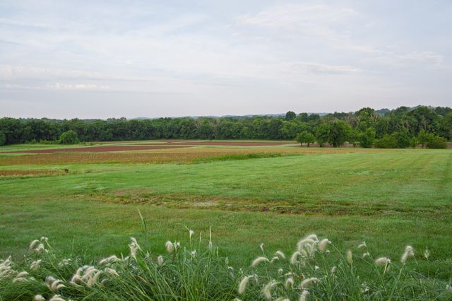 2023 Dr Robertson Rd, Spring Hill, TN 37174