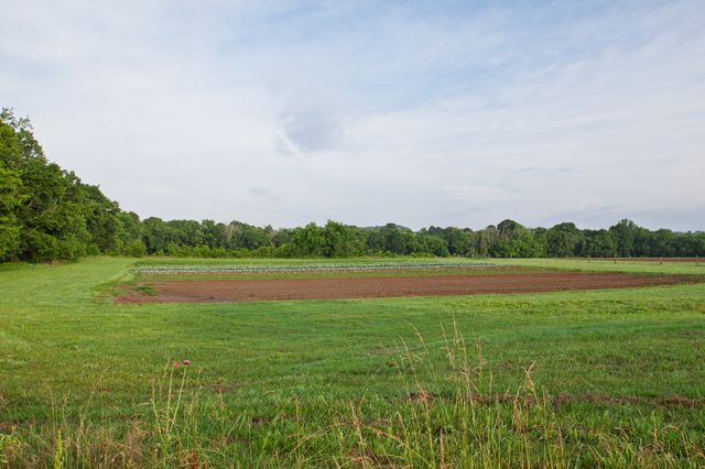 2023 Dr Robertson Rd, Spring Hill, TN 37174