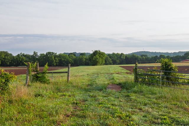 2023 Dr Robertson Rd, Spring Hill, TN 37174