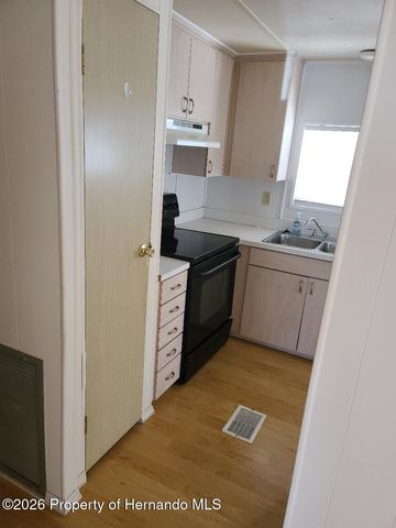 15466 Brookridge Boulevard, Brooksville, FL 34613