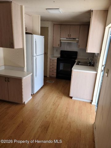 15466 Brookridge Boulevard, Brooksville, FL 34613