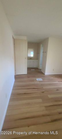 15466 Brookridge Boulevard, Brooksville, FL 34613